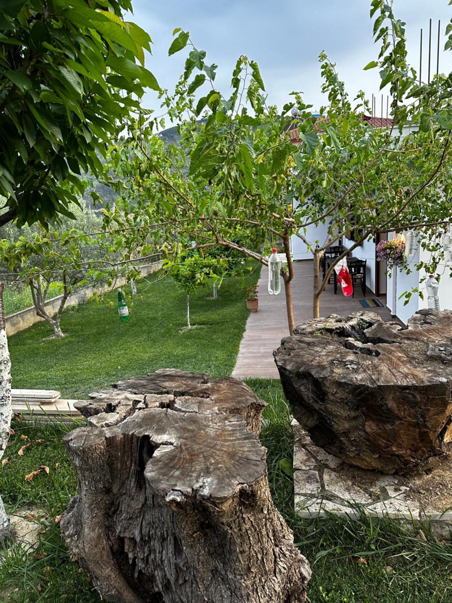 Guest House Gorani Berati Exterior foto